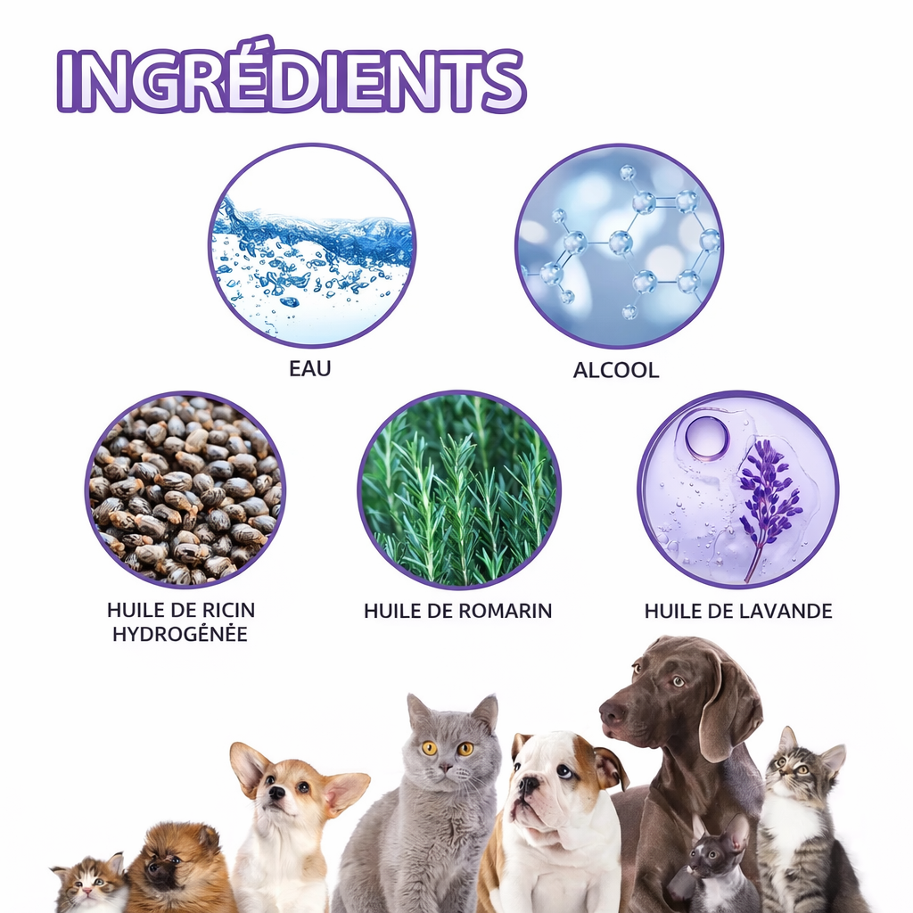 Spray Éliminateur d'Odeurs 50ml – Neutralisant Naturel Urine Chien Chat