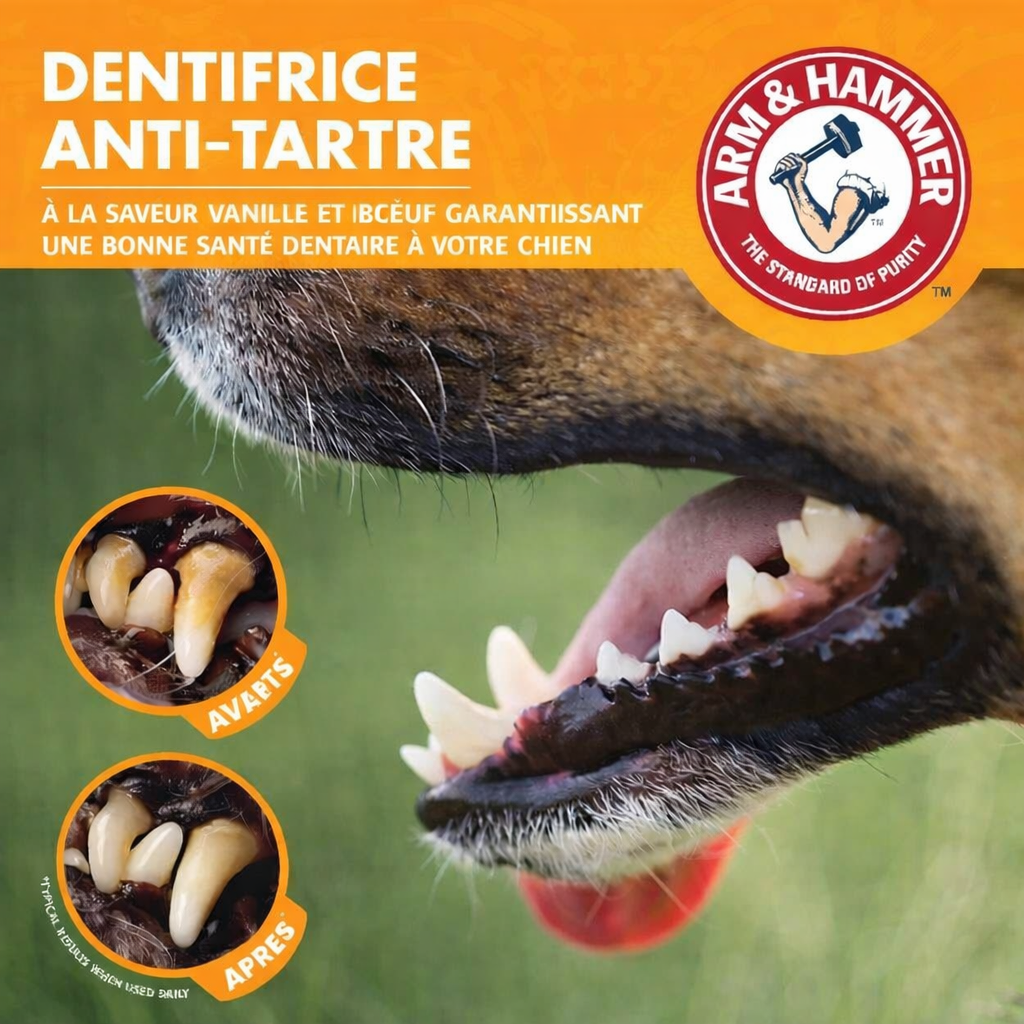 Kit Dentaire pour Animaux – Brosse à Dents & Dentifrice Anti-Tartre