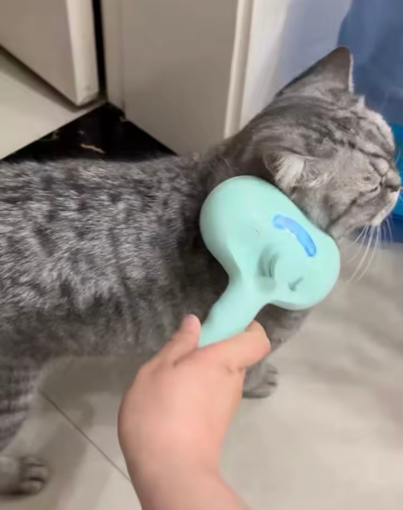 Peigne Vapeur Massage Anti-Poils – Brosse Douce & Rechargeable USB