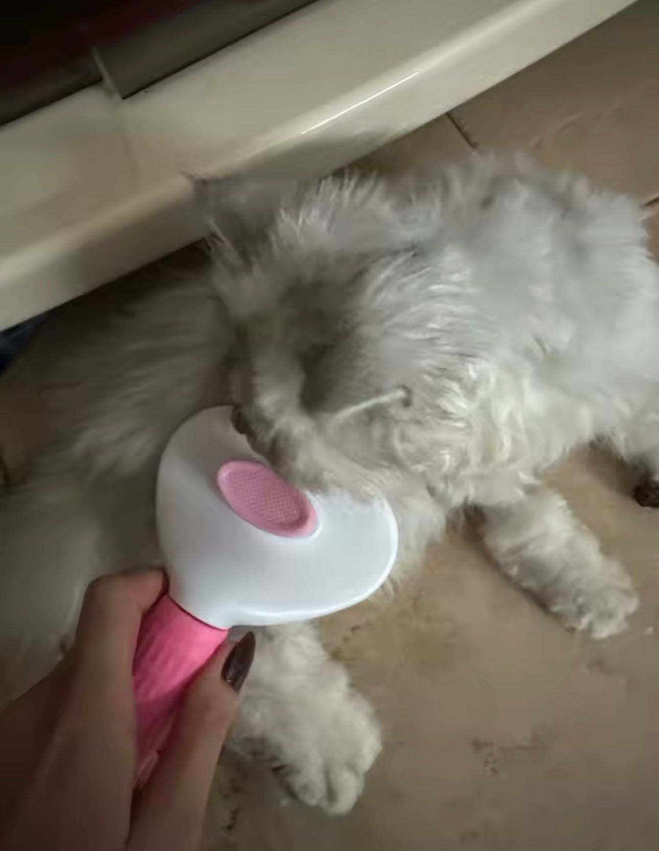 Brosse Anti-Poils pour Chien & Chat
