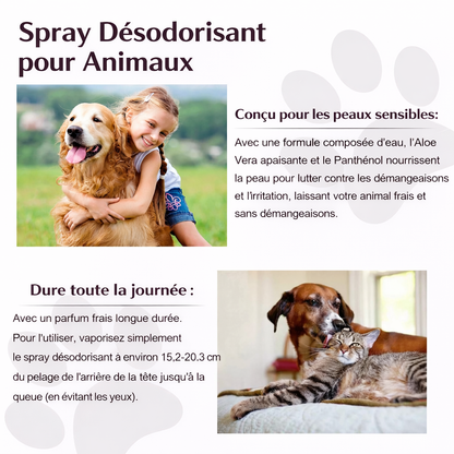 Spray Anti-Odeurs Chien & Chat – 50 ml