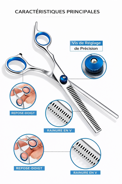 Ciseaux de Toilettage pour Chats et Chiens – Kit Complet
