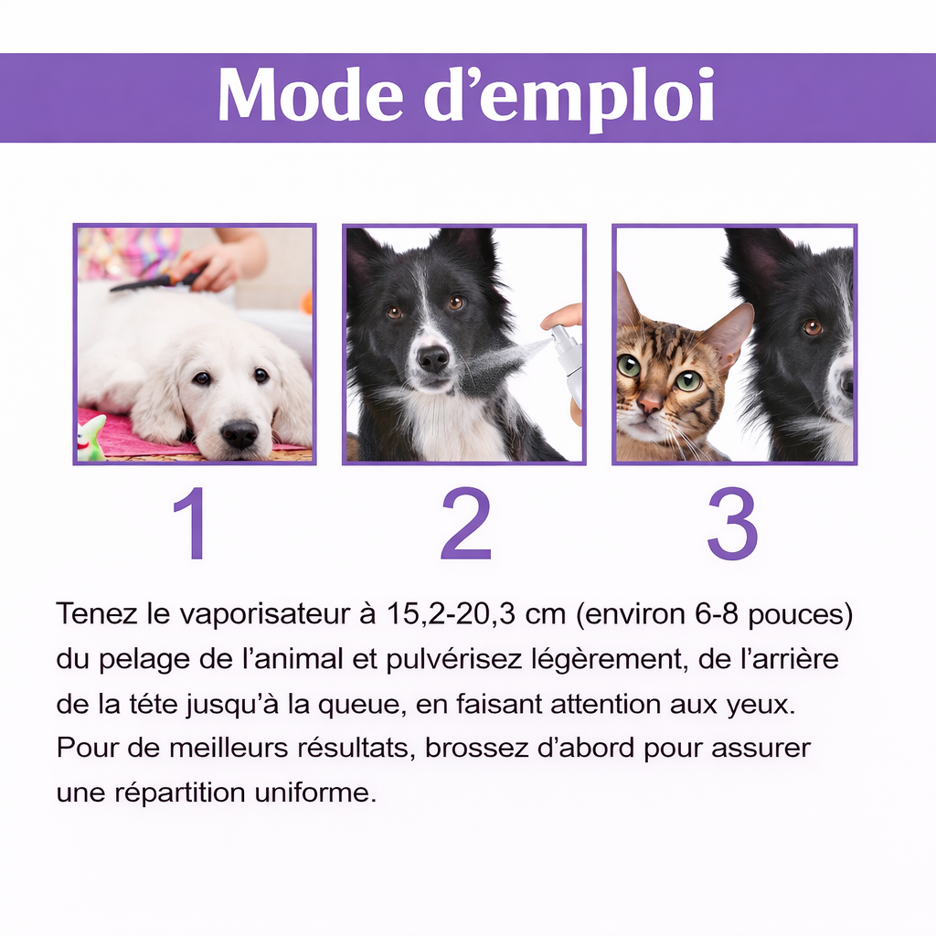 Spray Éliminateur d'Odeurs 50ml – Neutralisant Naturel Urine Chien Chat