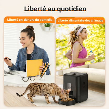 Distributeur Automatique Programmable pour Chat et Chien