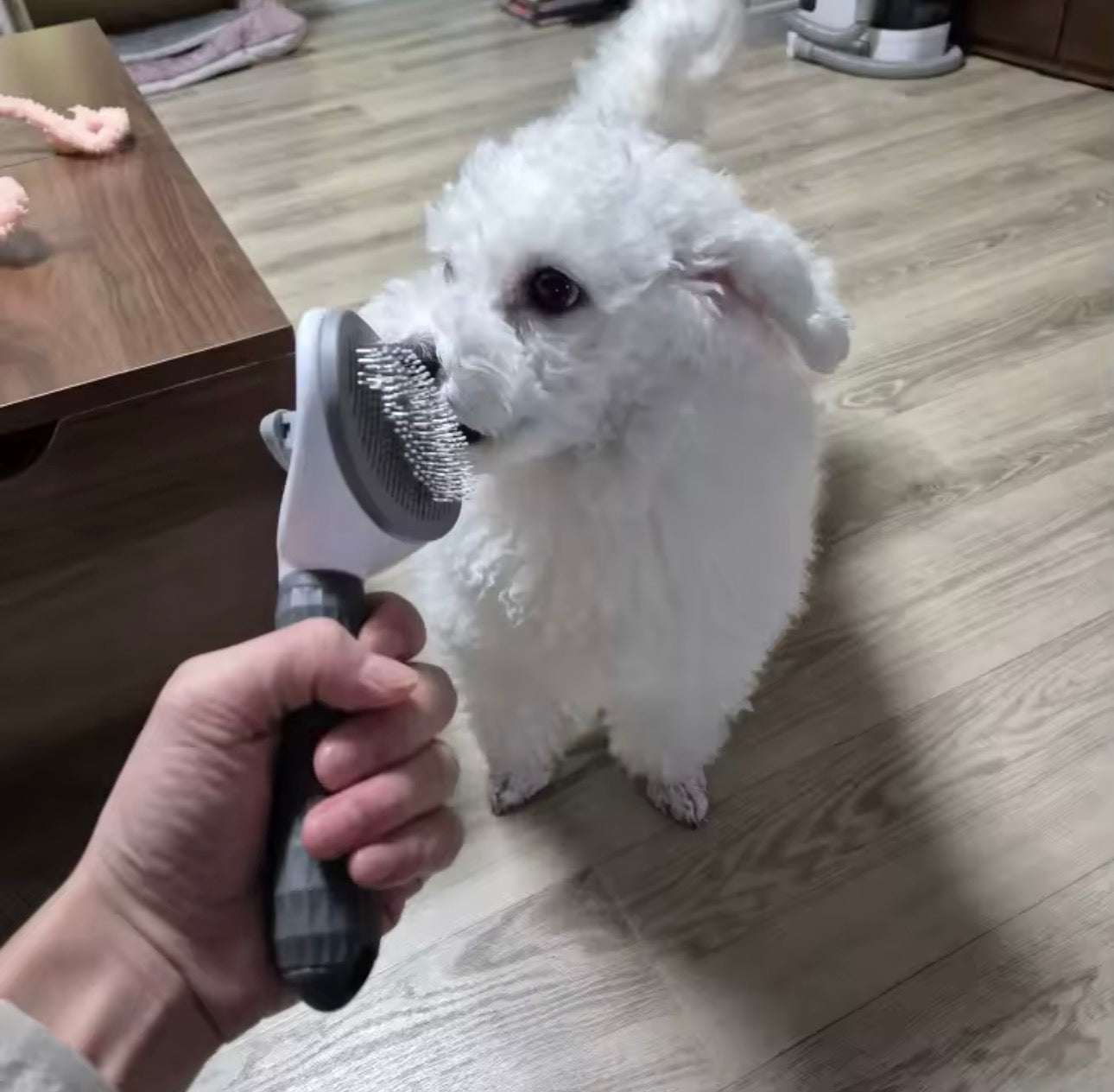 Brosse Anti-Poils pour Chien & Chat