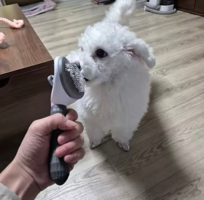 Brosse Anti-Poils pour Chien & Chat