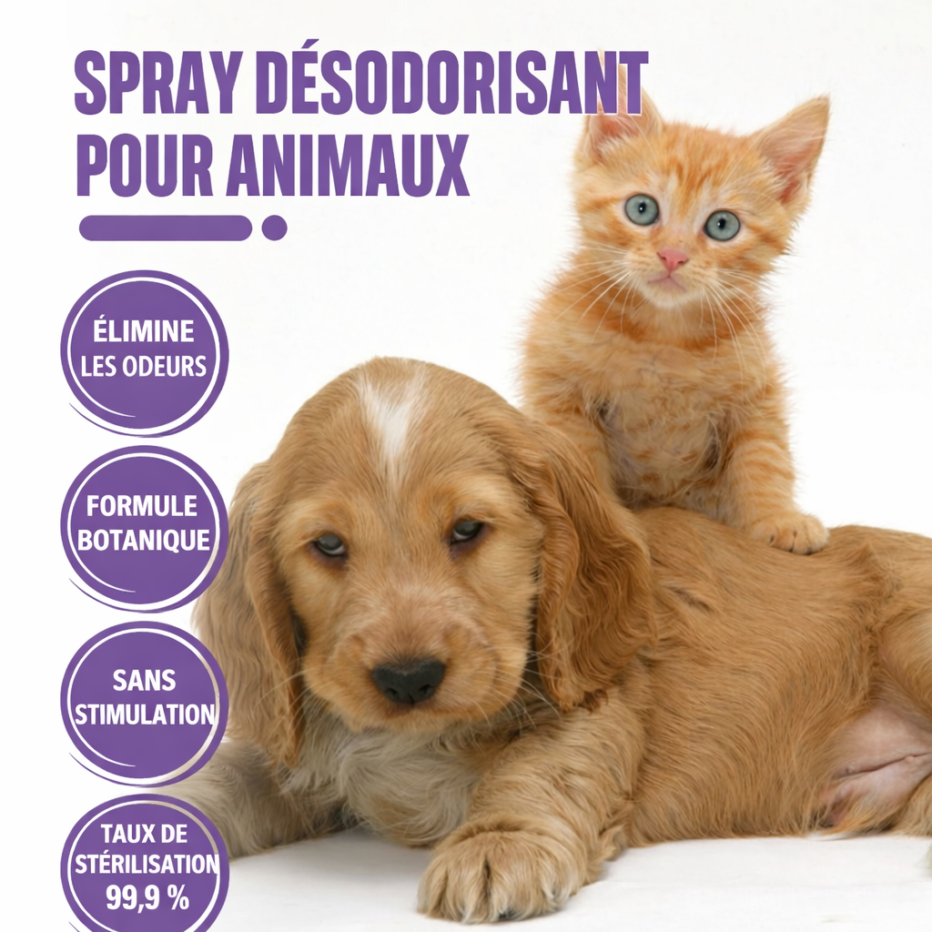 Spray Éliminateur d'Odeurs 50ml – Neutralisant Naturel Urine Chien Chat