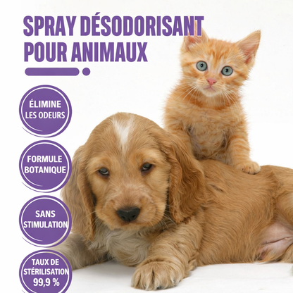 Spray Anti-Odeurs Chien & Chat – 50 ml