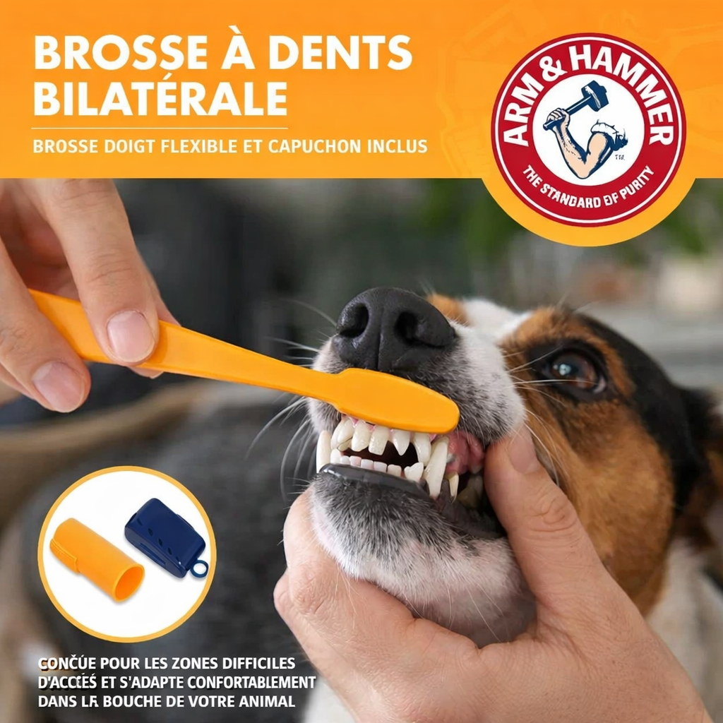 Kit Dentaire pour Animaux – Brosse à Dents & Dentifrice Anti-Tartre