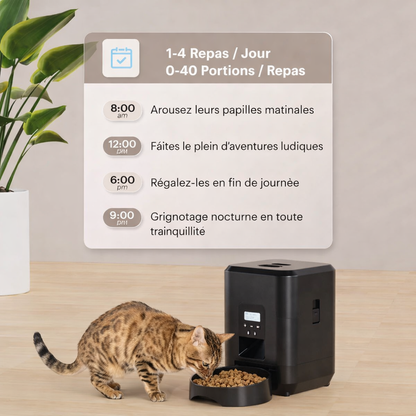 Distributeur Automatique Programmable pour Chat et Chien