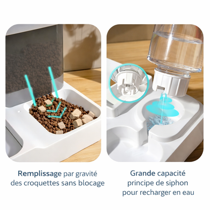Distributeur 2-en-1 pour Chien – Mangeoire & Fontaine 2,2 L