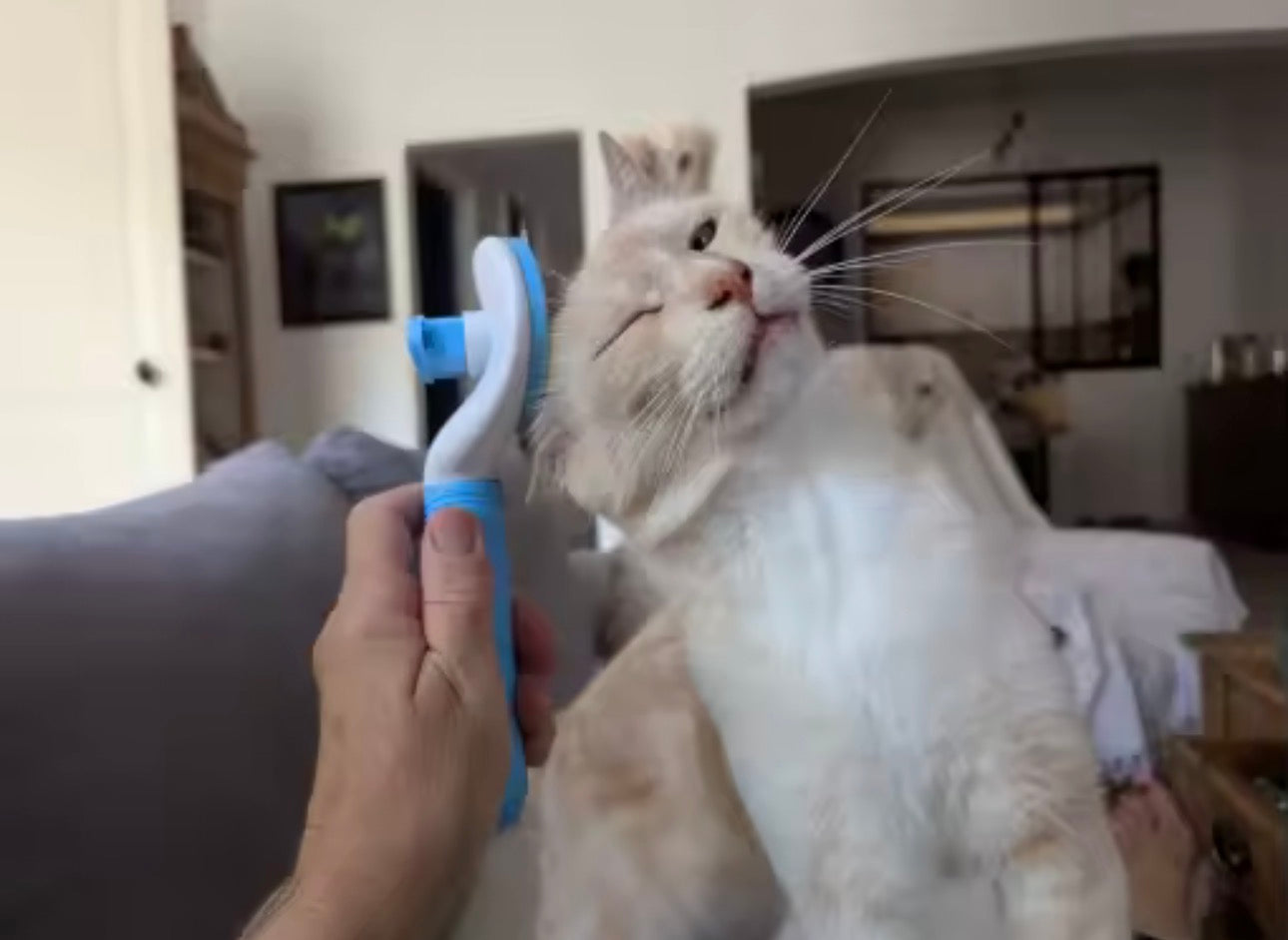 Brosse Anti-Poils pour Chien & Chat