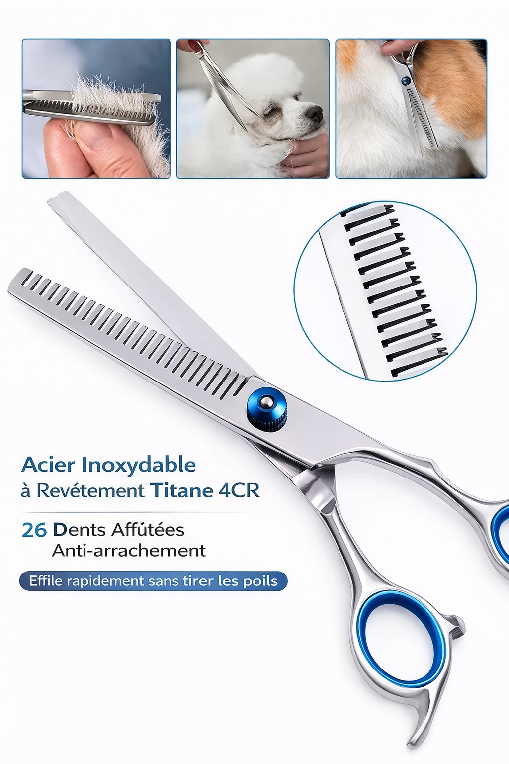 Set de Ciseaux de Toilettage pour Chats et Chiens – Acier Inoxydable, Bout Rond Sécurisé, Effileurs + Peigne Inclus