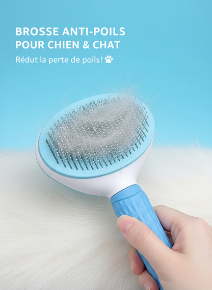 Brosse Anti-Poils pour Chien & Chat