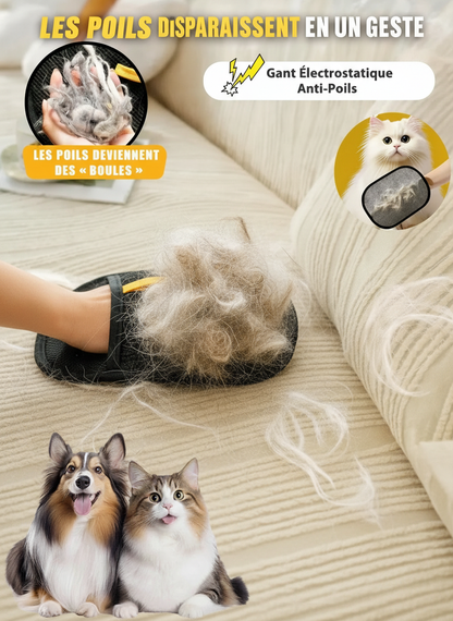 Gant Anti-Poils Double Face pour Chien & Chat