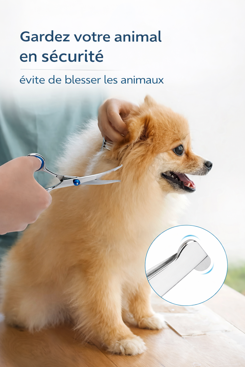 Set de Ciseaux de Toilettage pour Chats et Chiens – Acier Inoxydable, Bout Rond Sécurisé, Effileurs + Peigne Inclus