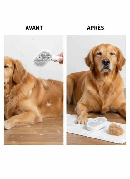 Avant et après toilettage d’un chien avec une brosse anti-poils, réduisant la perte de poils et améliorant l’apparence du pelage.