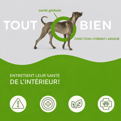 Huile de Saumon Pure pour Chien – 200 ml