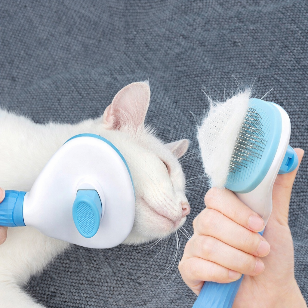 Brosse Anti-Poils pour & chat