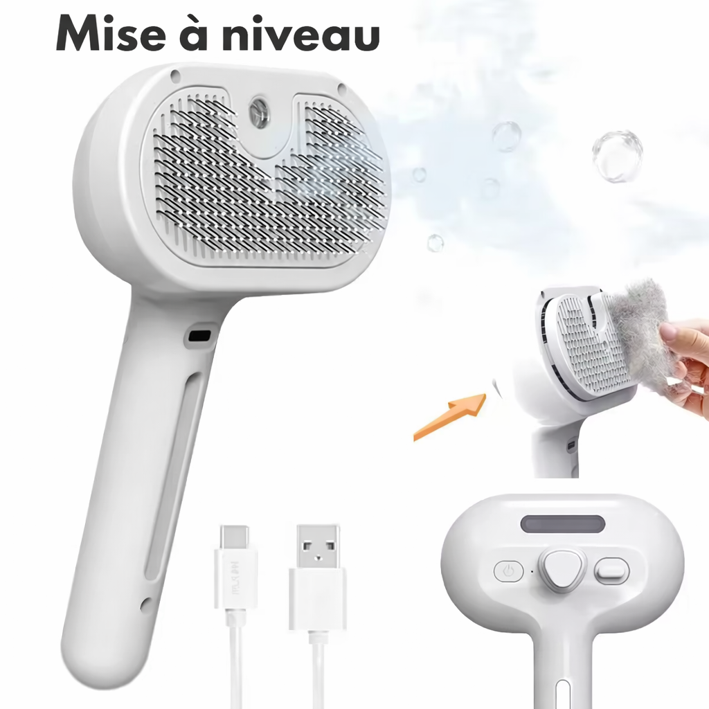 Peigne Vapeur Massage Anti-Poils – Brosse Douce & Rechargeable USB