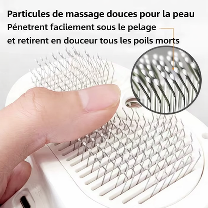 Peigne Vapeur Massage Anti-Poils USB