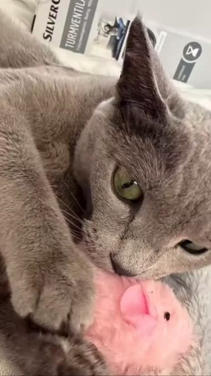 Souris Interactive Automatique pour Chat