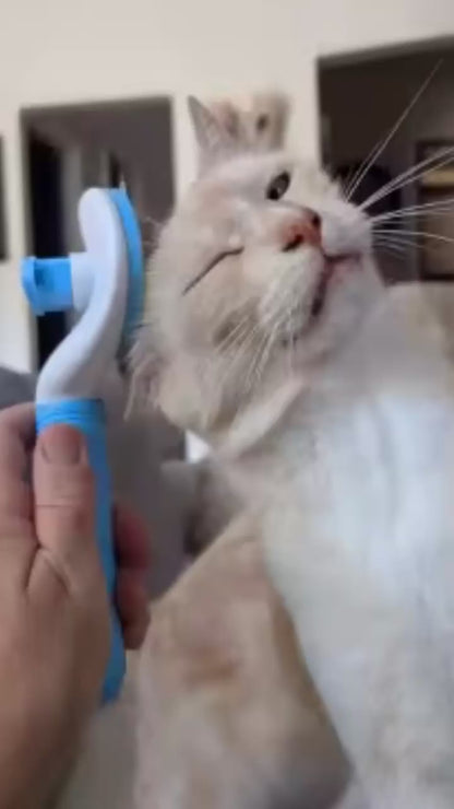 Brosse Anti-Poils pour Chien & Chat