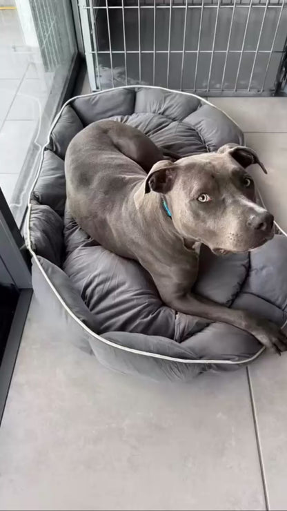 Panier Sofa Confortable pour Chien et Chat