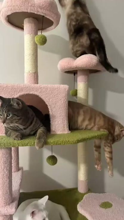 Arbre à Chat Multi-Niveaux Complet