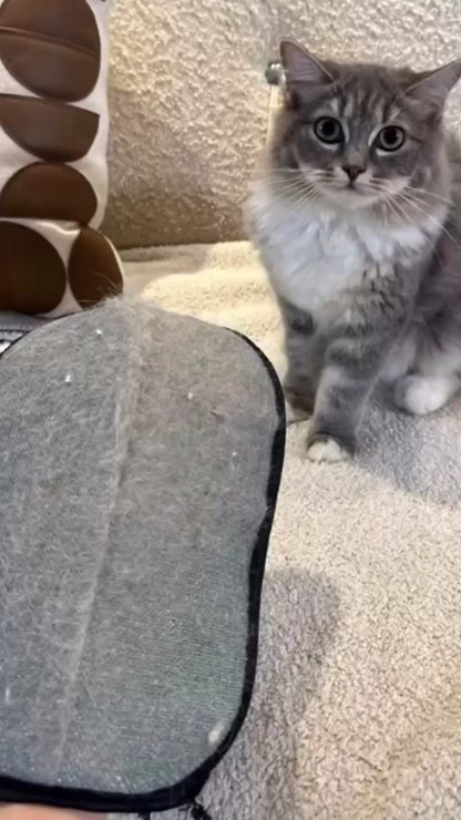 Gant Anti-Poils Double Face pour Chien & Chat