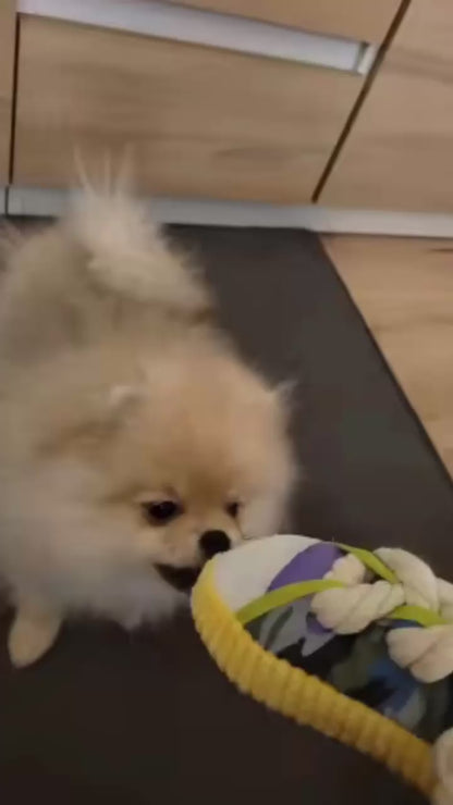 Jouet Pantoufle à Mâcher pour Chien – Corde & Son